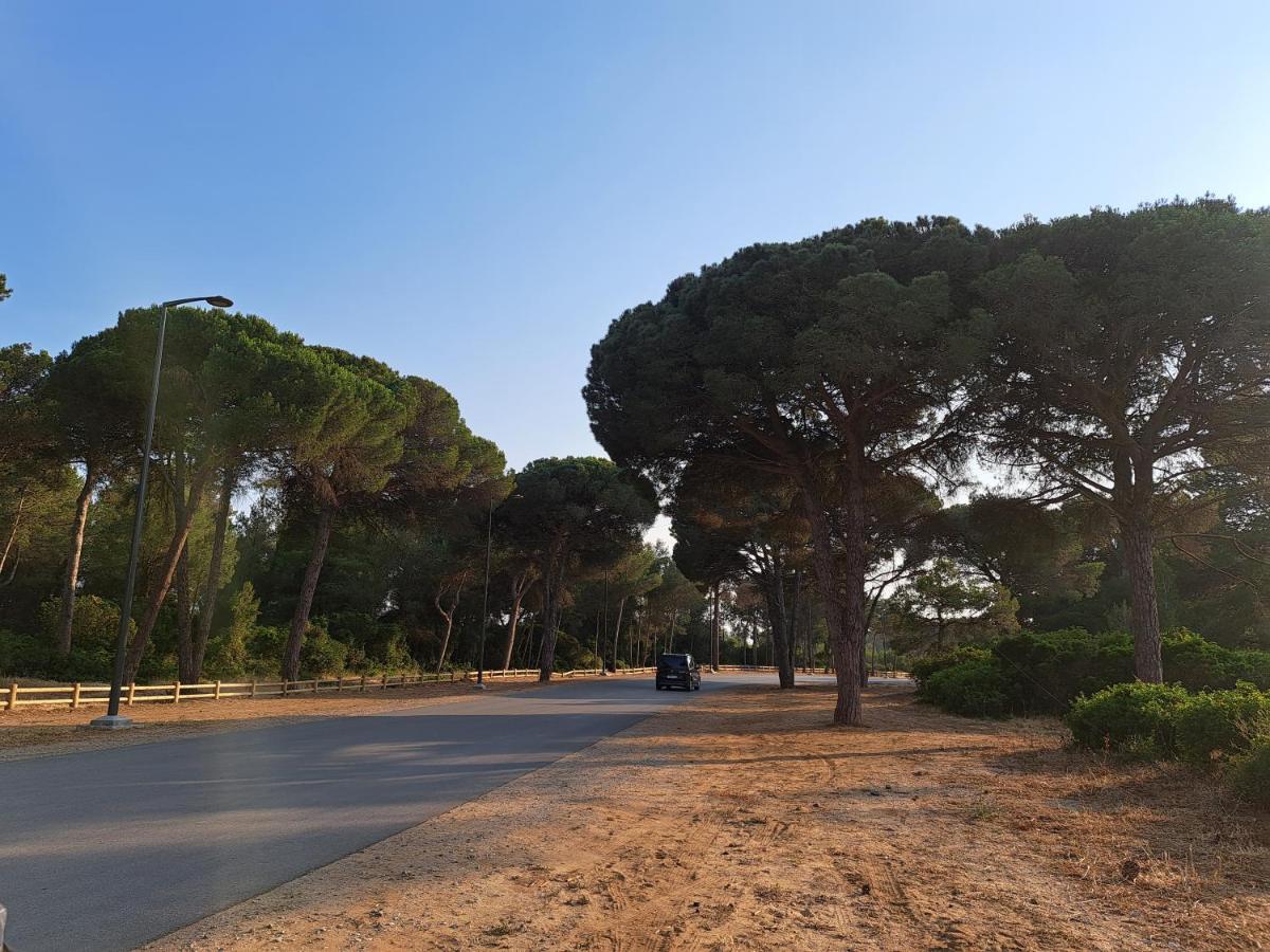 Cosy Appartement A 3Min De La Foret Et 5Min De La Plage Tanger Ngoại thất bức ảnh